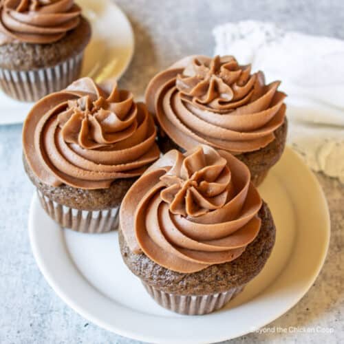 Chocolate Cupcake Recipe With Mayonnaise